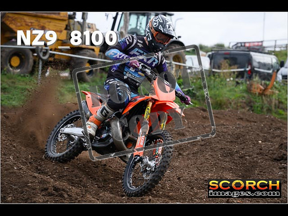 Experts-041