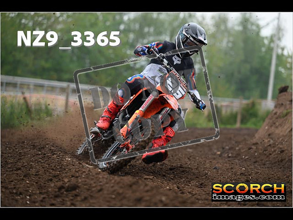 Experts-028