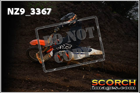 Experts-043