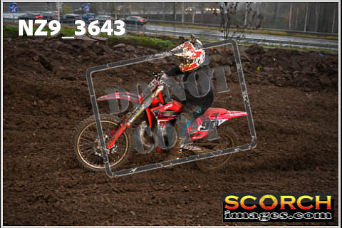 Experts-115