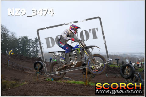 Intermediates-087
