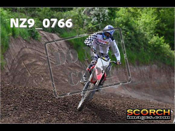 IntersGreen-298