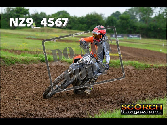 Experts-283