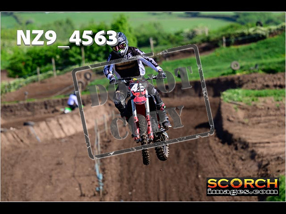 Experts-069