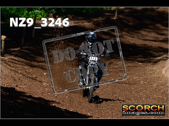 InterGreen-002