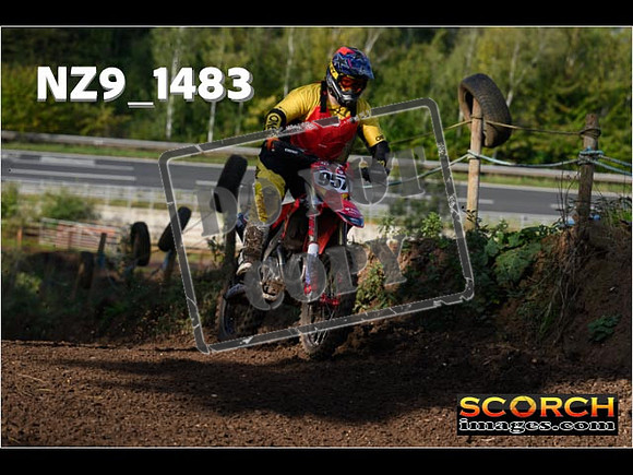 Experts-176