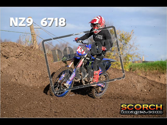 Experts-131