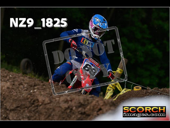 Experts-046