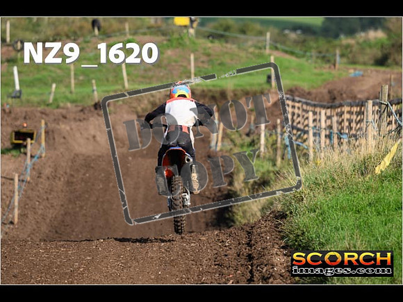 Experts-301