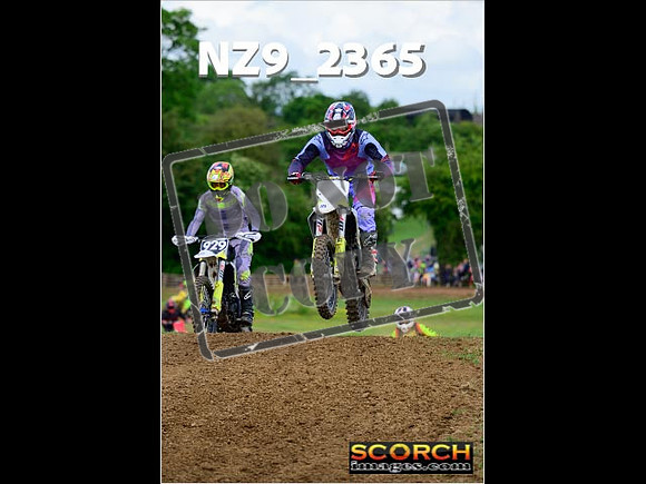 Novice-212