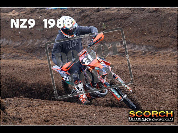 Experts-050