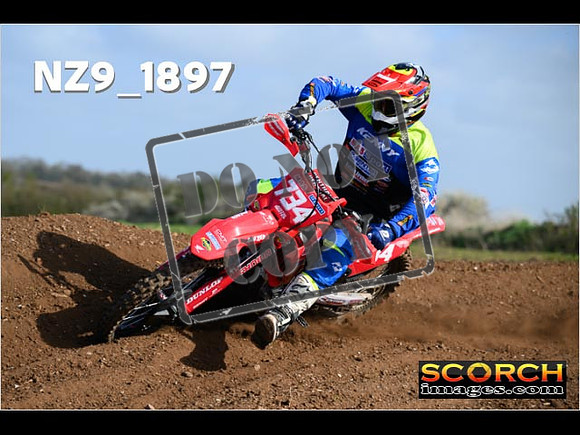 Experts-041