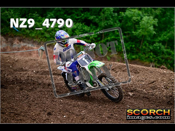 Experts-086
