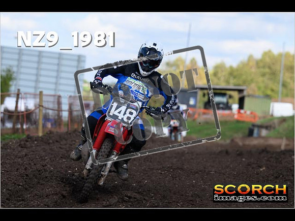 Experts-324