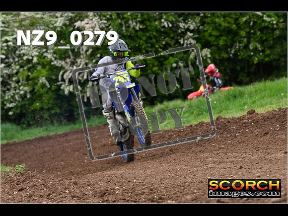 IntersGreen-228