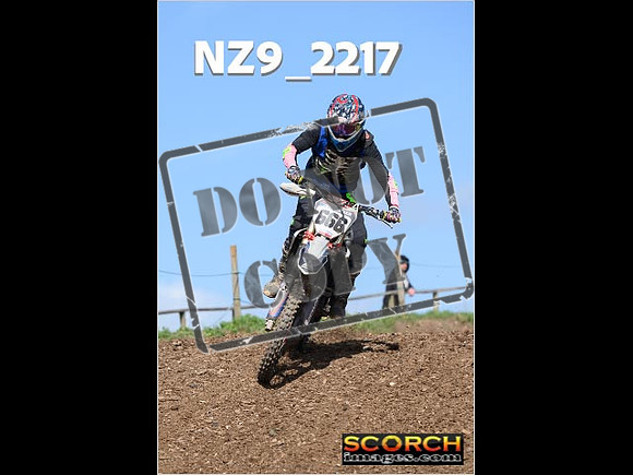 Experts-119