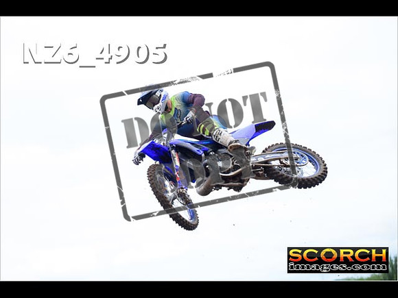 Experts-100