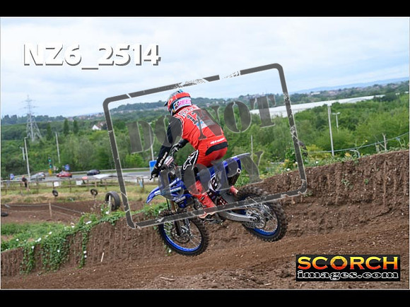 IntersGreen-126
