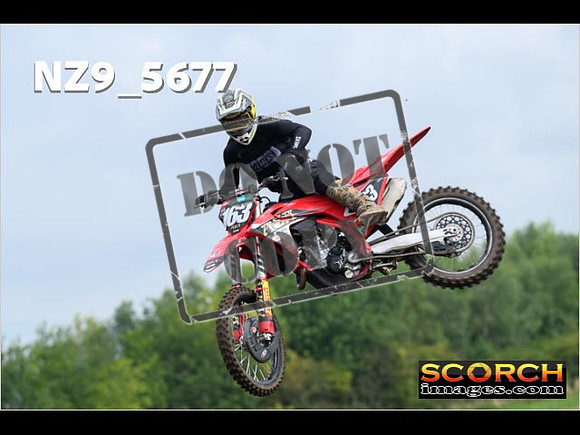 Experts-079