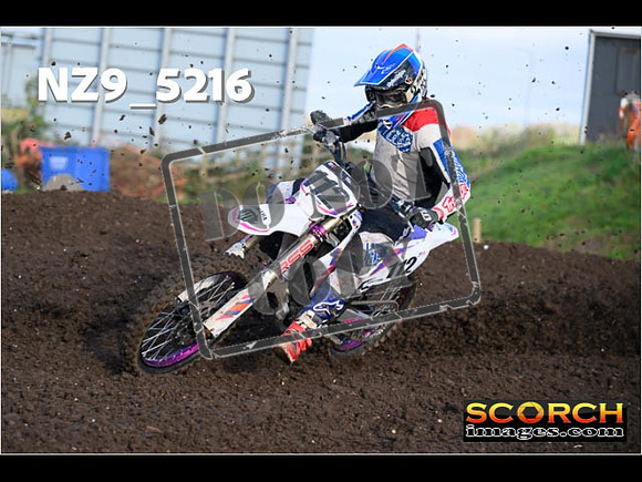 Experts-081