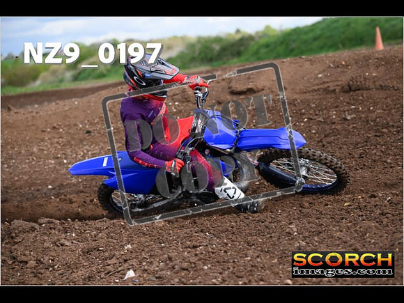 Experts-134