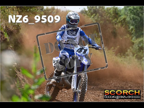Experts-272