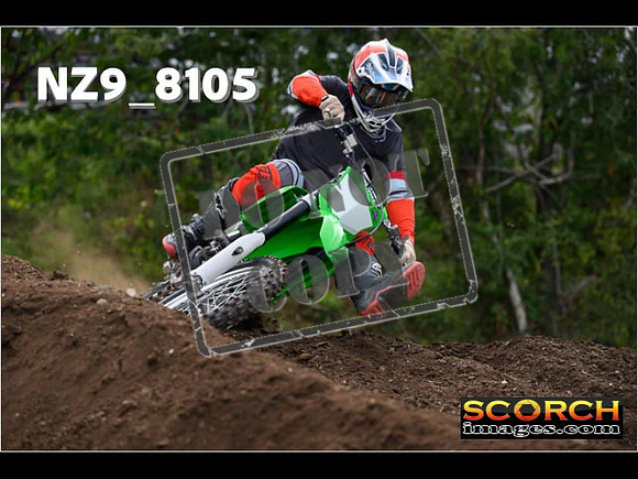 Experts-046