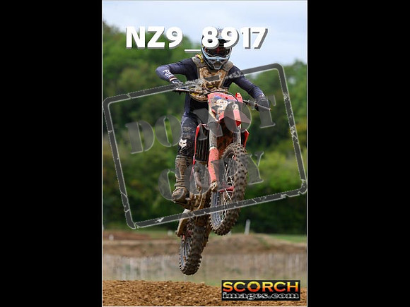 Experts-134