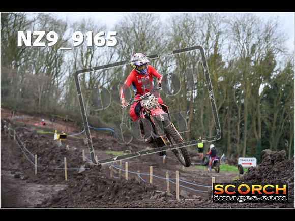 Experts-082