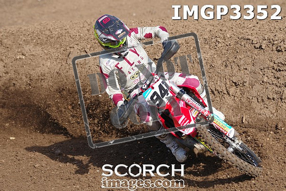 IMGP3352