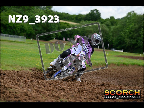 Experts-033