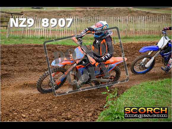 Experts-126