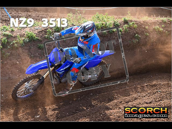 Experts-080