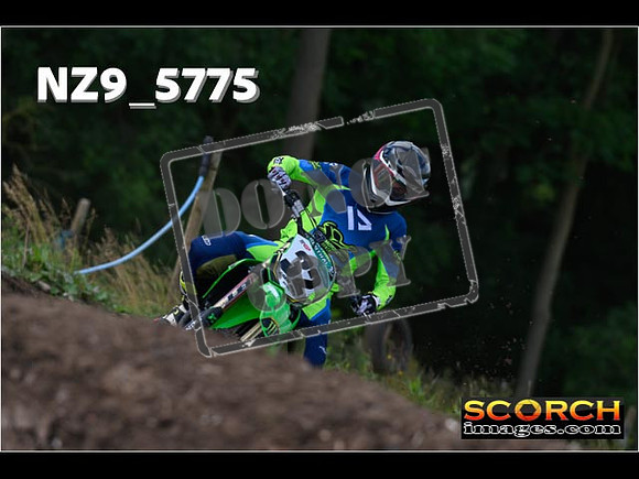 Experts-032