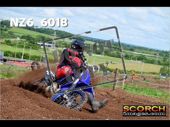 Experts-062