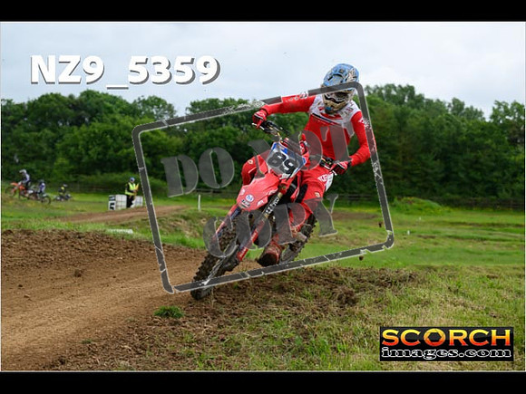 Experts-294