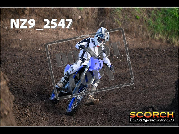 Experts-133