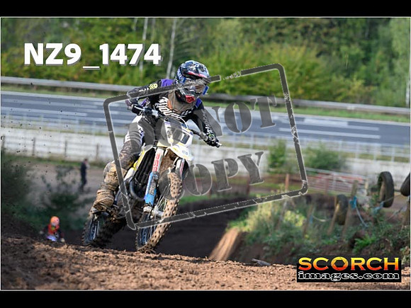 Experts-169