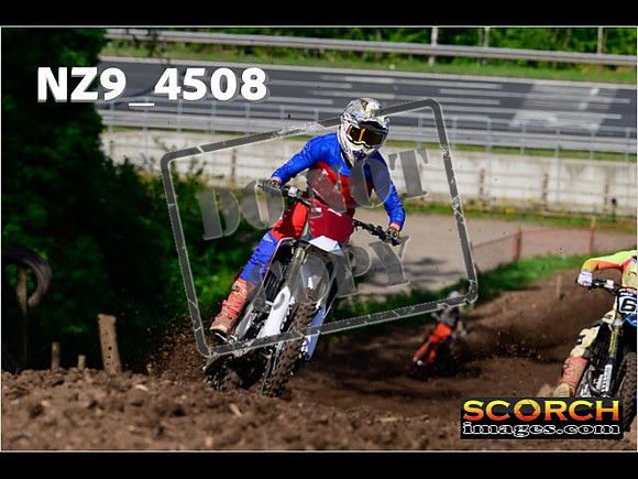 Experts-019