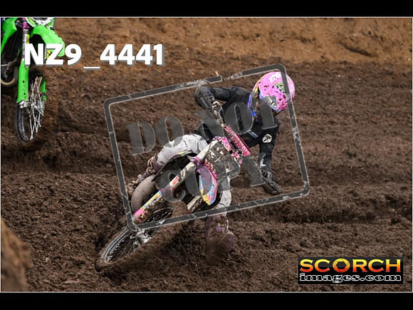 Experts-282