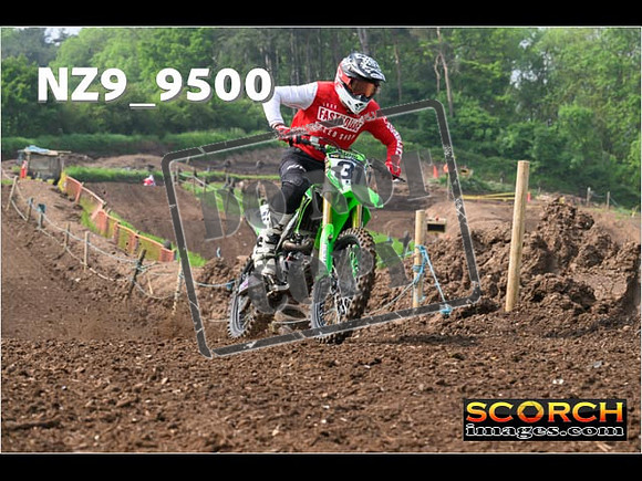 Experts-023