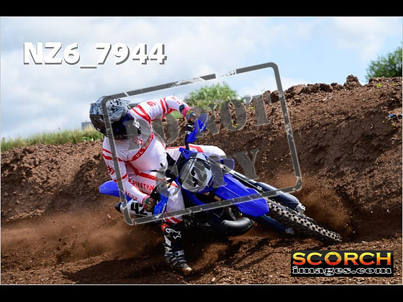 Experts-110