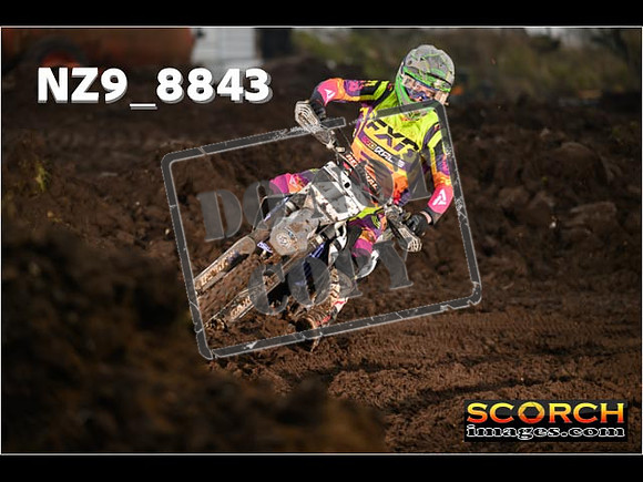 Experts-133