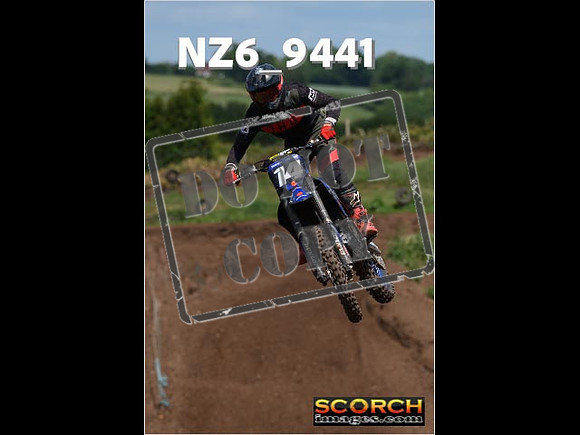 Experts-206