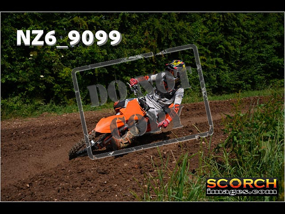 Experts-163