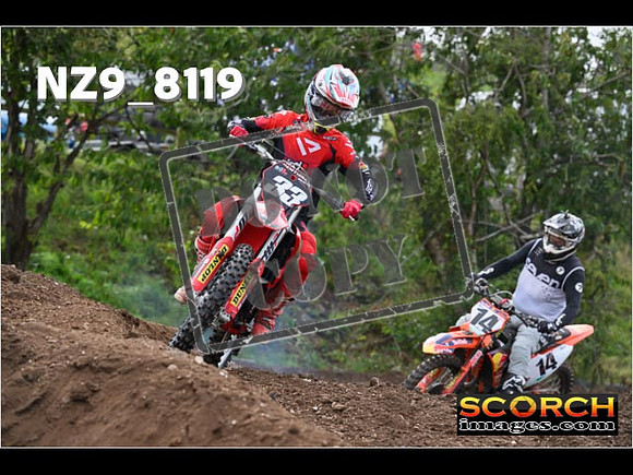 Experts-060