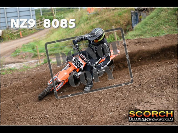 Experts-026
