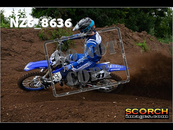 Experts-047