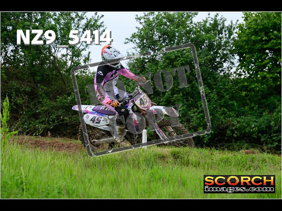 Experts-346