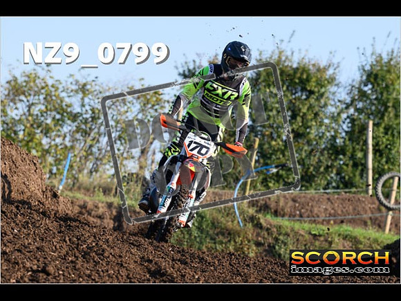 Experts-015